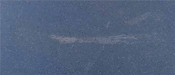 PVC地板有劃痕如何修復(fù)