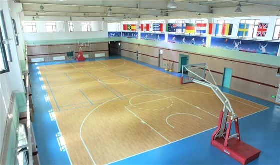 籃球運動地板5