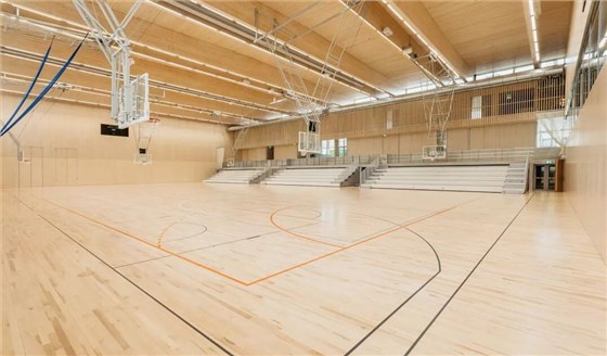 籃球運動地板6