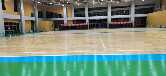 體育運動木地板