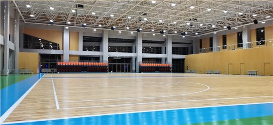 籃球場館運動木地板
