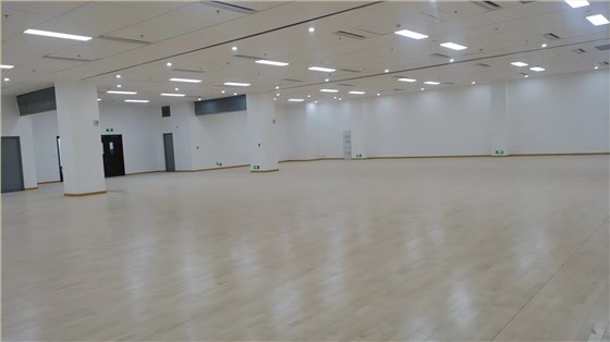 運動木地板
