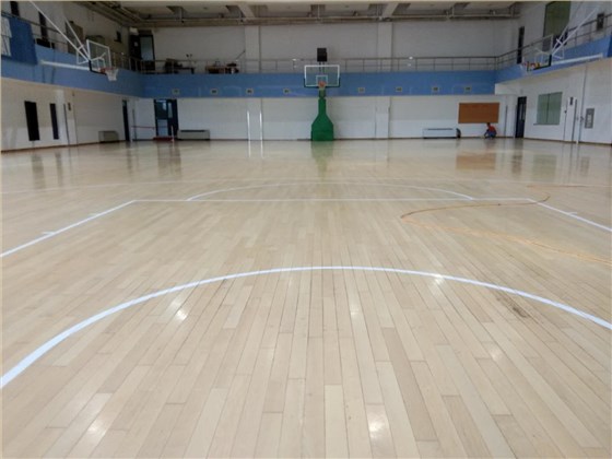 籃球場運動木地板 籃球場運動木地板