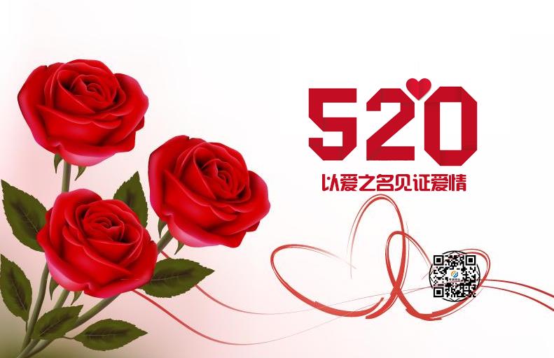 520 | 實木運動地板和PVC運動地板的愛情故事